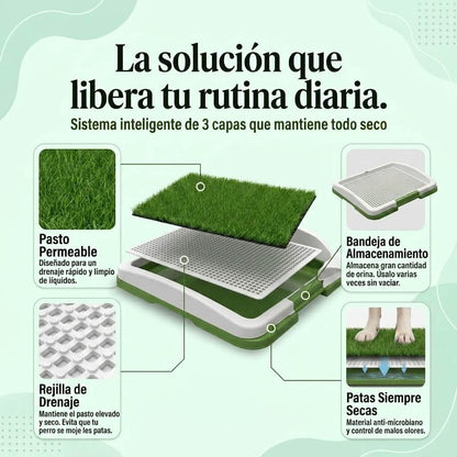 PastoPup™ - Baño limpio dentro de casa